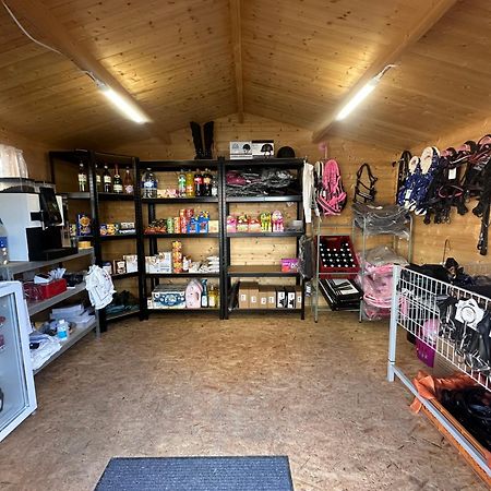 Fewo Im Reit- Und Ponyparadies Roos Halle  Exterior photo