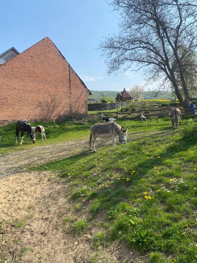 Fewo Im Reit- Und Ponyparadies Roos Halle  Exterior photo