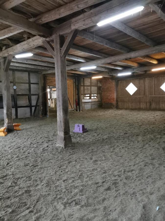 Fewo Im Reit- Und Ponyparadies Roos Halle  Exterior photo
