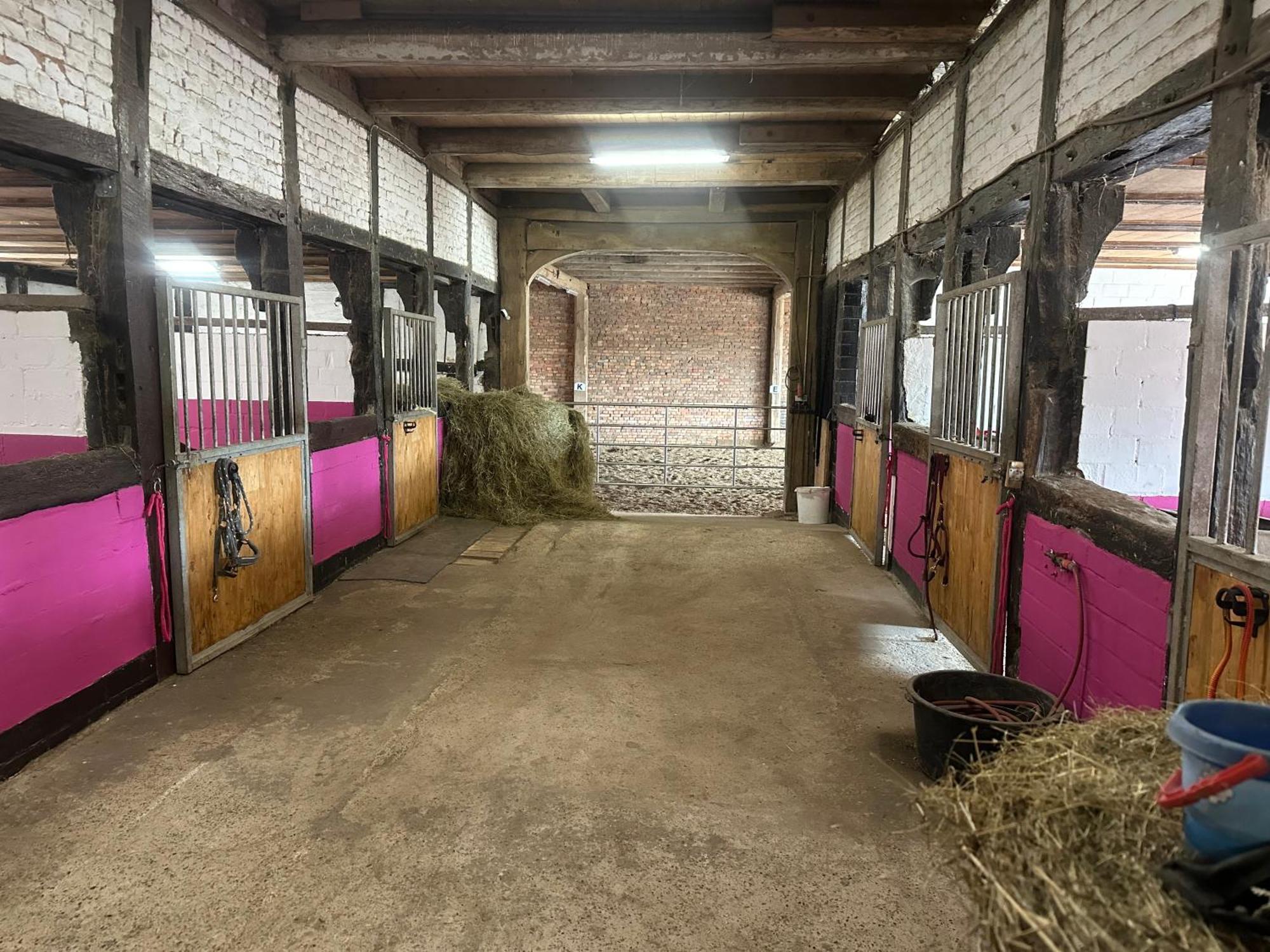 Fewo Im Reit- Und Ponyparadies Roos Halle  Exterior photo