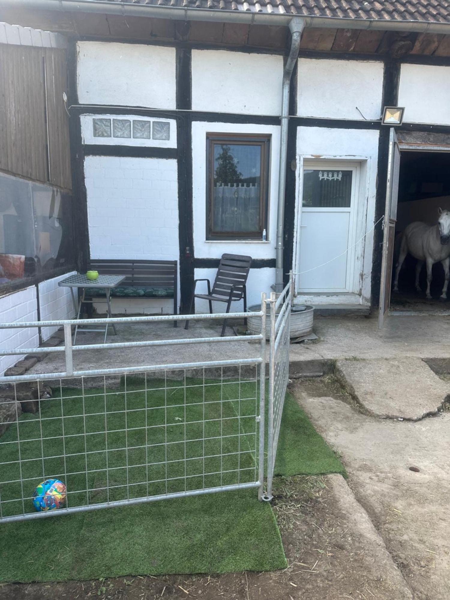 Fewo Im Reit- Und Ponyparadies Roos Halle  Exterior photo